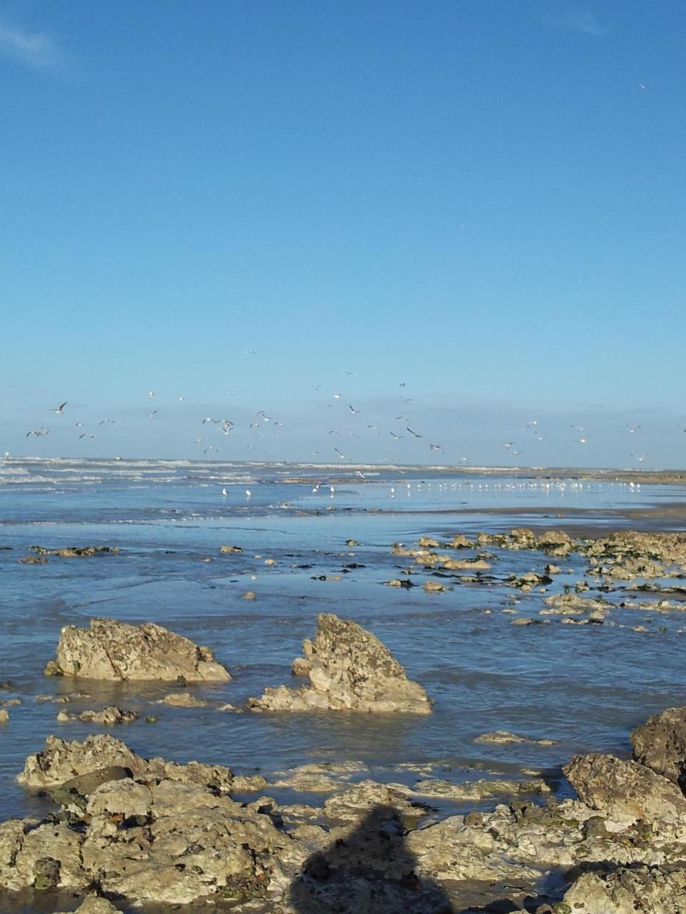 Camping Le Mont Joli Bois Criel-sur-Mer Exteriér fotografie